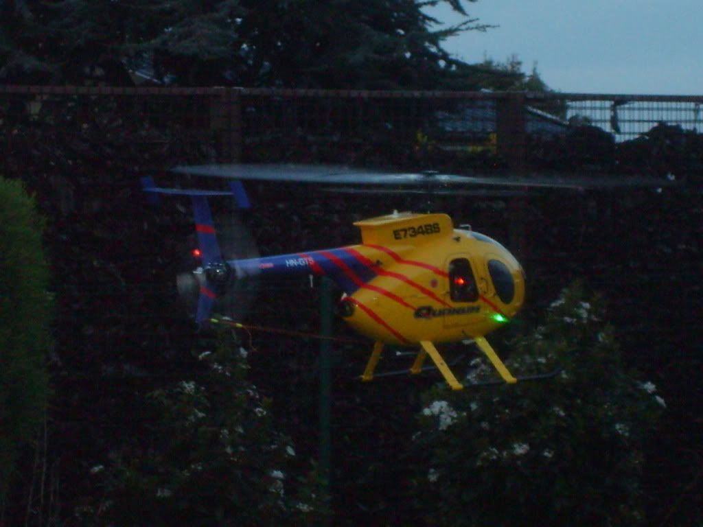 S5000049.jpg