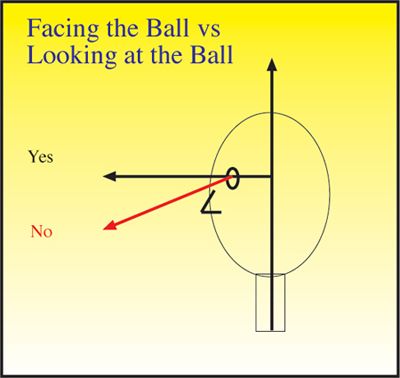 FaceBall_zps93bb7b12.jpg