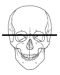 skull_line_zps956c9fa7.gif