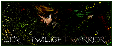 LINKTWILIGHTWARRIORYAYitishere.png