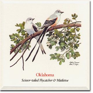 State Flower Oklahoma on Oklahoma Card Jpg Oklahoma State Bird And Flower