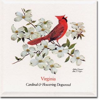 Virginia State Flower and Bird Pictures, Images and Photos