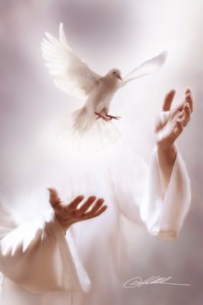 Jesus Christ Catching the white dove in white clothes as a symbolic peace of 