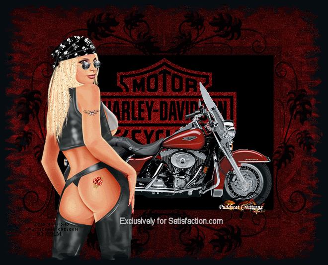 RoseAzz Harley Davidson