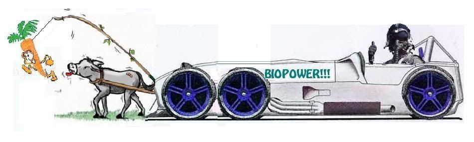 Biopower2.jpg