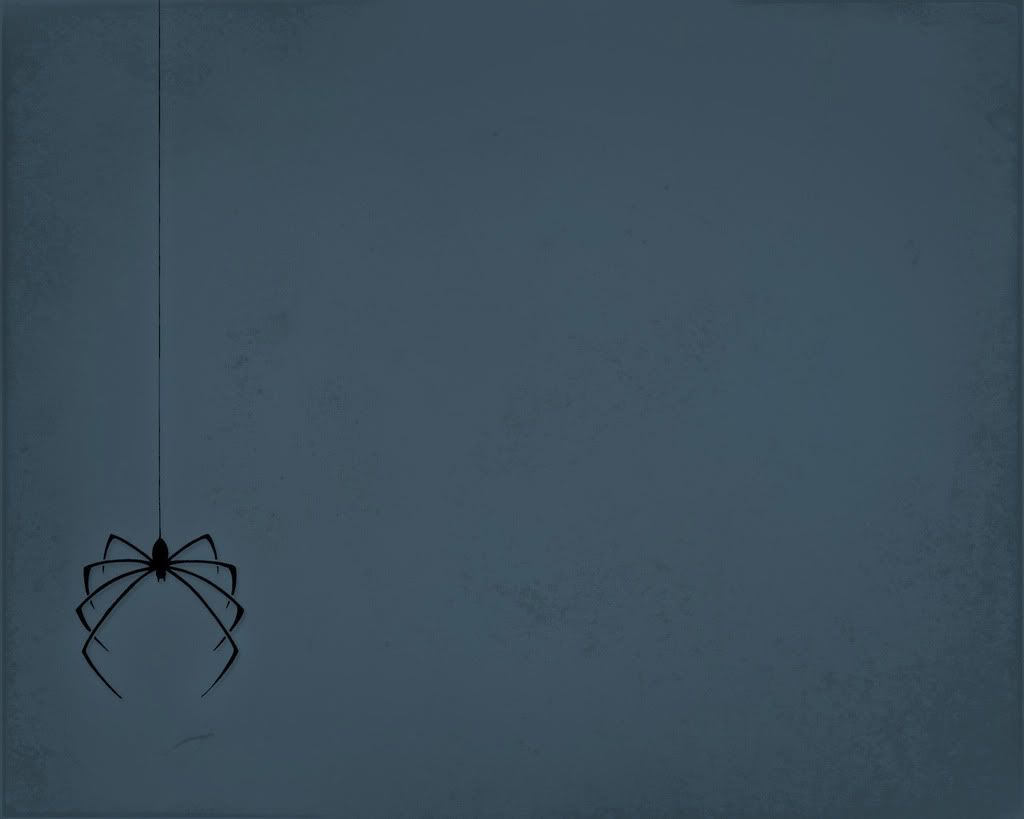 spider1280xaofjkfqtbpy3ye.jpg