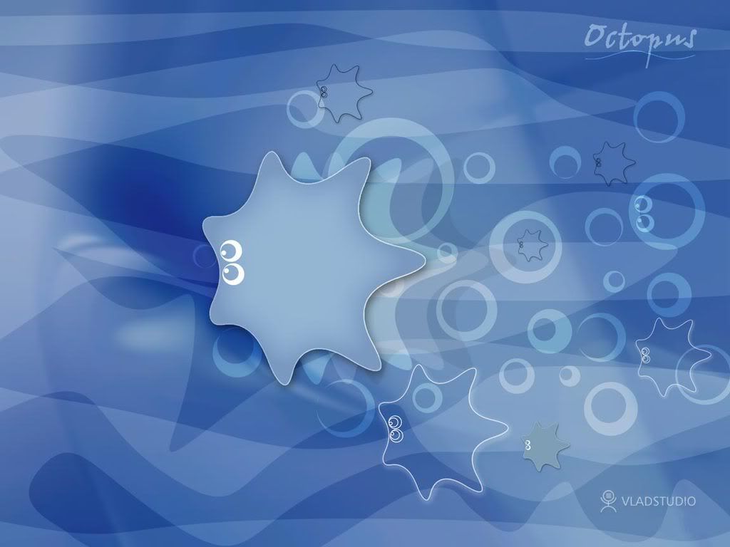 vladstudiooctopus2dark1152x864.jpg