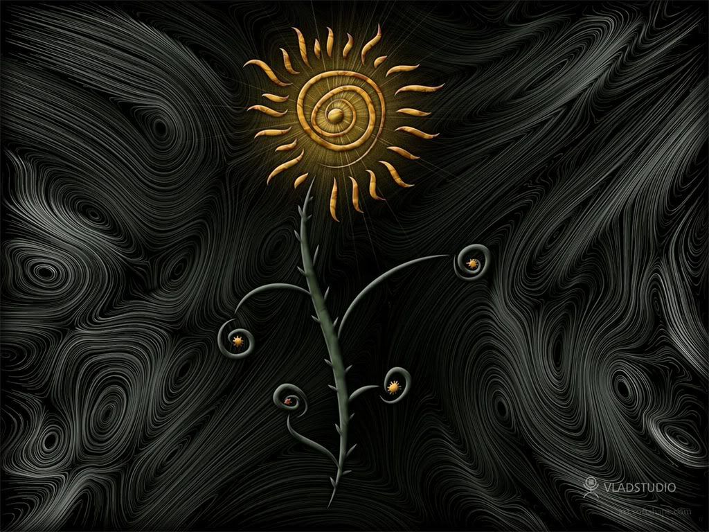 vladstudiosunflower1152x8649kb.jpg