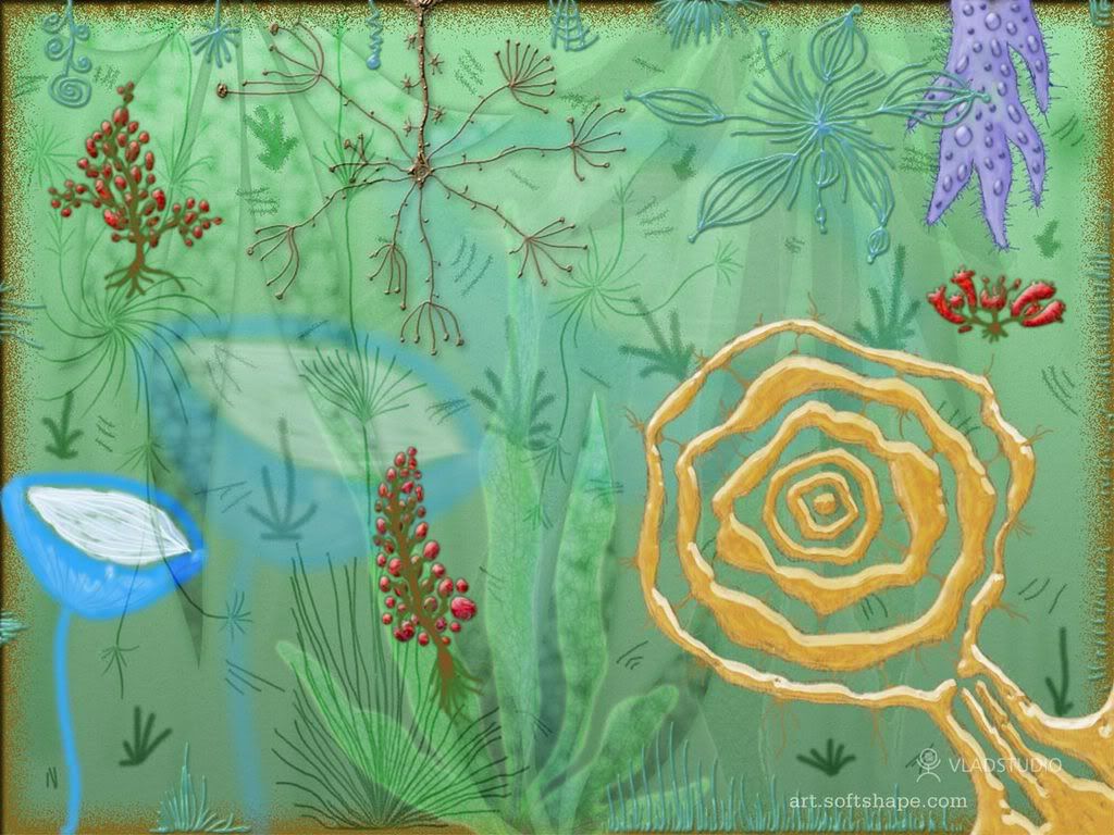 vladstudiowildnature1152x864lz.jpg