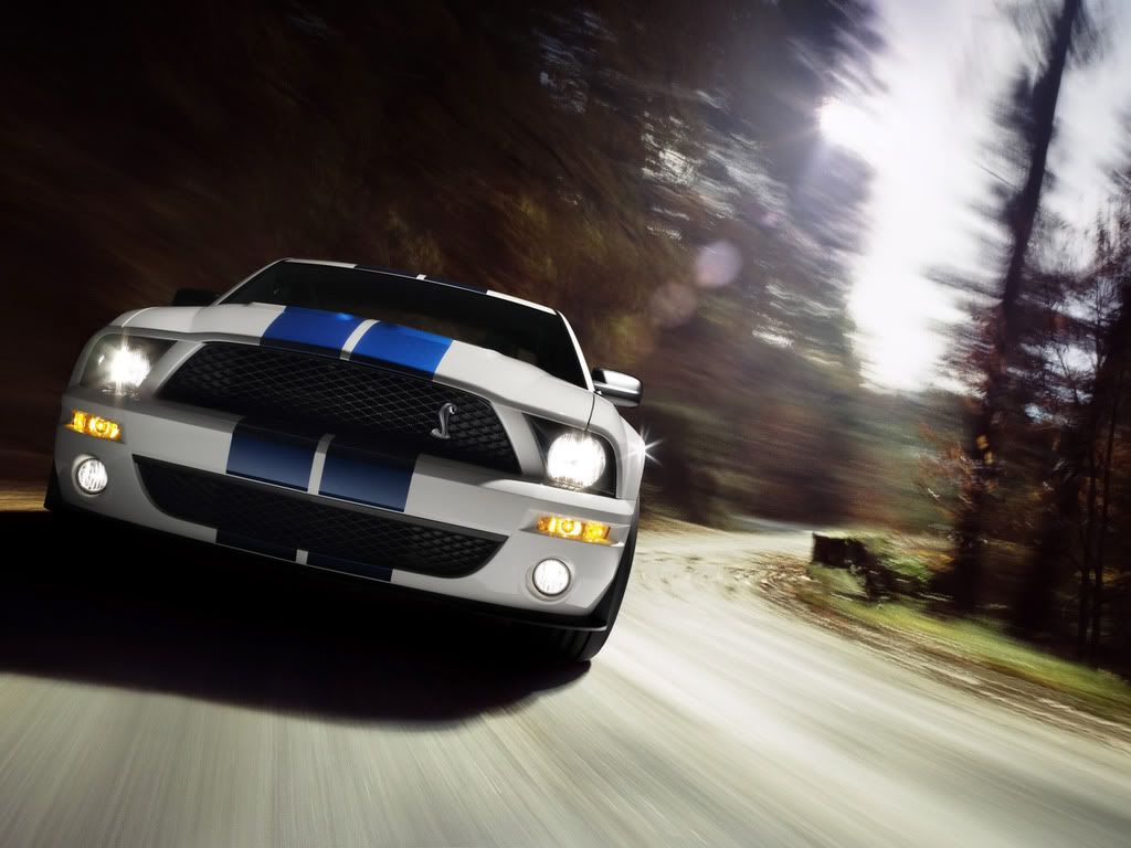 2007-Ford-Shelby-GT500-Productio-14.jpg
