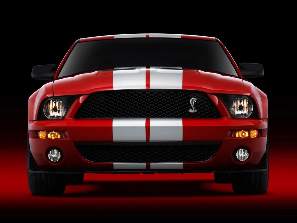 2007-Ford-Shelby-GT500-Productio-5.jpg