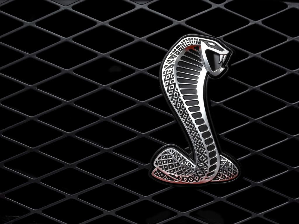 2007-Ford-Shelby-GT500-Production-C.jpg
