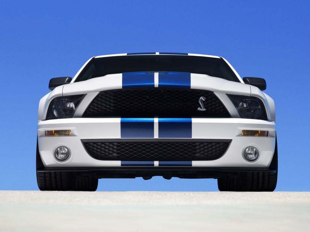2007-Ford-Shelby-GT500-Production-W.jpg