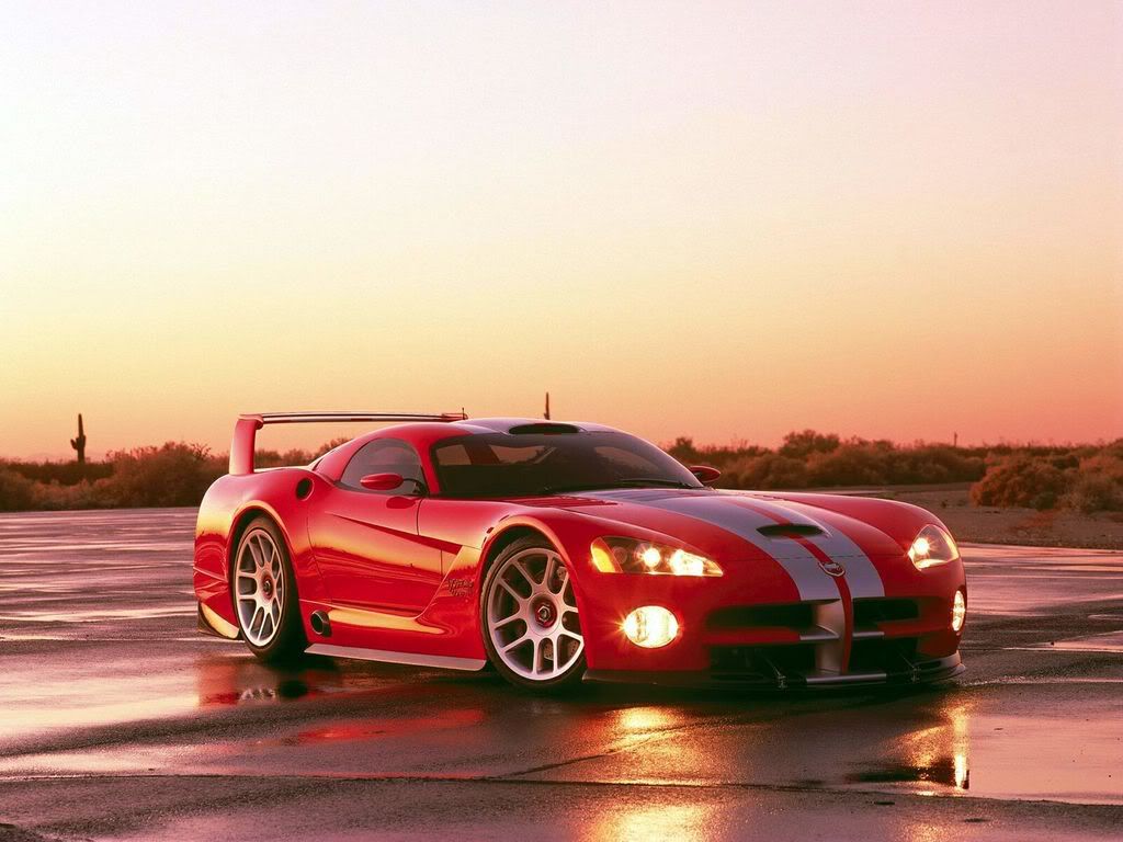 Viper-065.jpg