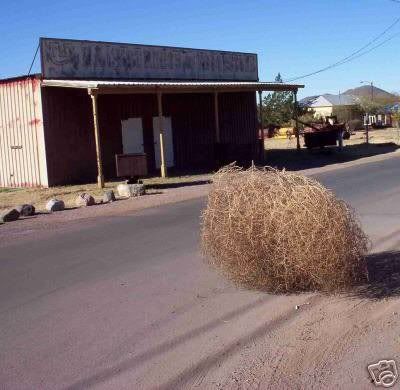 tumbleweed Pictures, Images and Photos