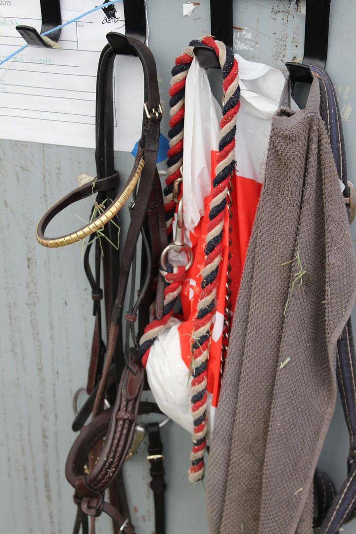  photo IMG_7243_zps9h3yzdwb.jpg