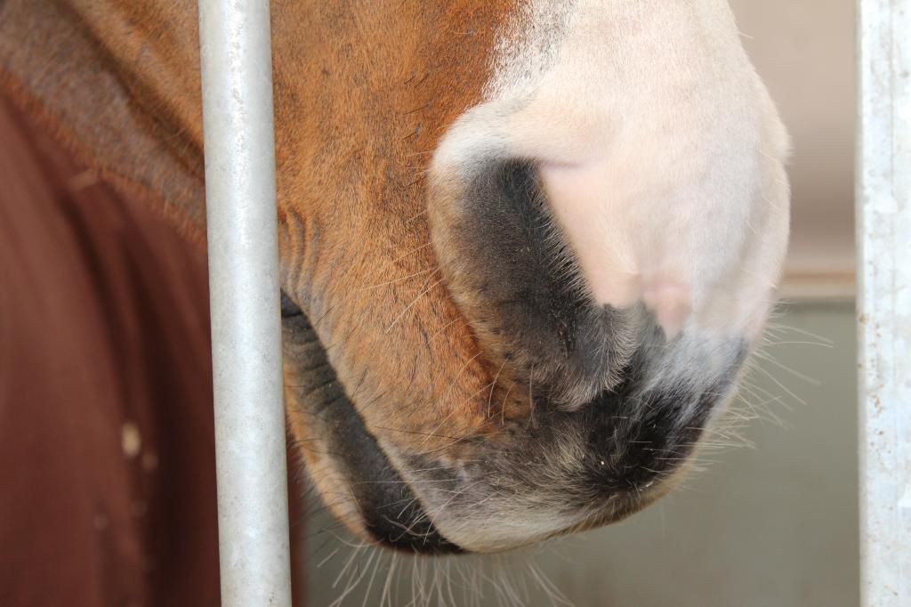  photo IMG_7248_zpswf6gdu9l.jpg