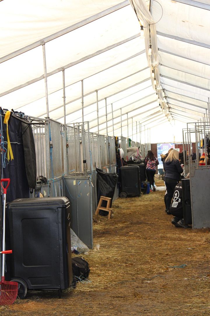  photo IMG_7250_zpskpm2ygyt.jpg