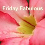 Friday Fabulous