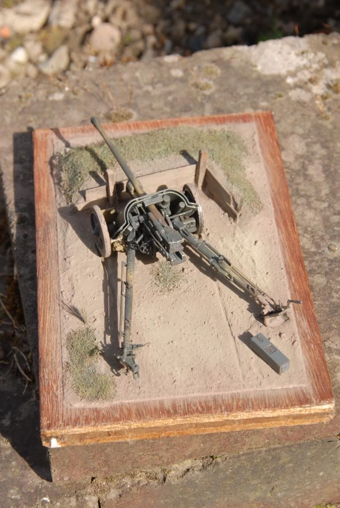 DSC_0004Pak6.jpg