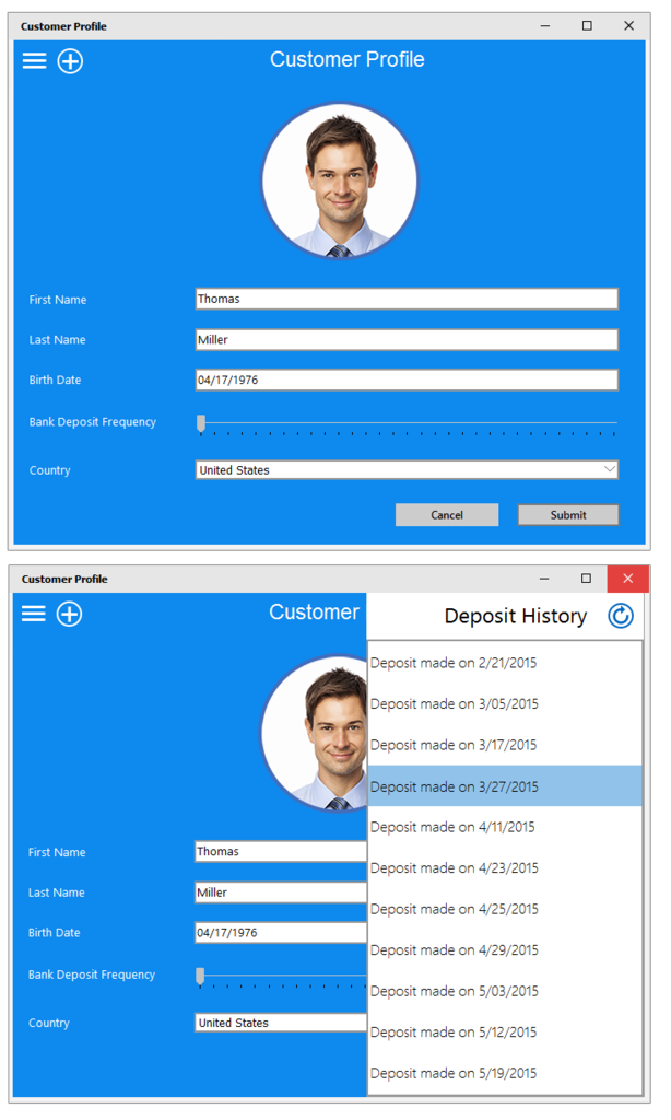 Windows 10 VCL Style Bordered