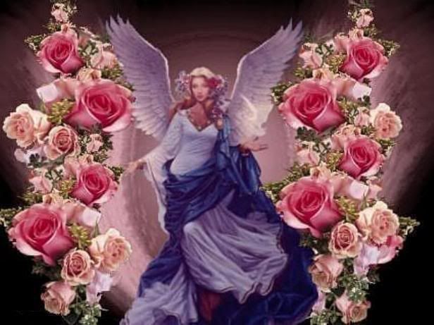 Angel and roses Pictures, Images and Photos