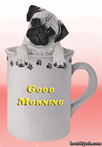 Morning Pug In Coffee Cup gif by mema234ever | Photobucket