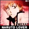 Naruto-Lover-iCon