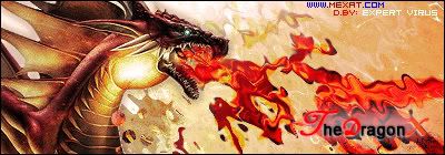 TheDragonX