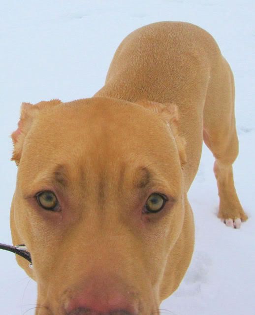 IMAGE: http://i304.photobucket.com/albums/nn175/Jakecl22/211.jpg