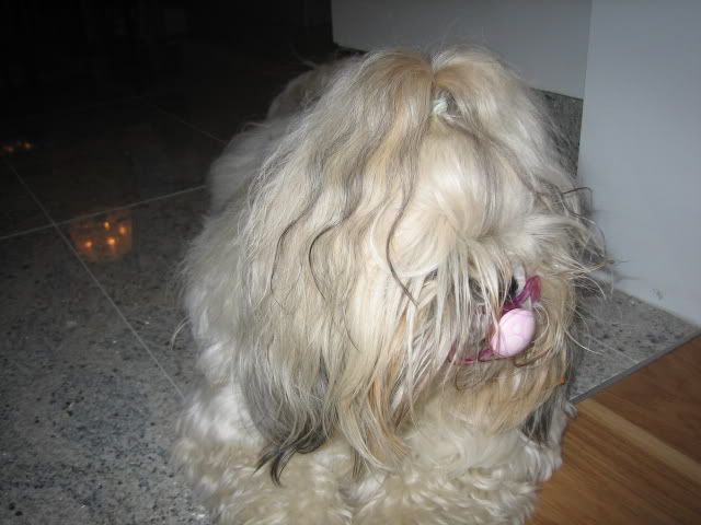 the pacifier stealer