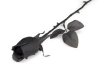 photo ebce2dd5-67a9-4dd0-8871-1335d14012e8.jpg