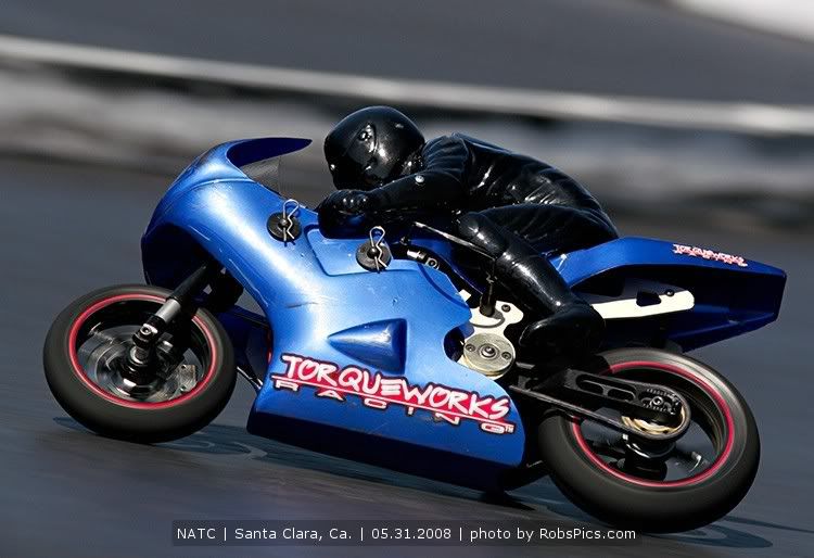 IMAGE: http://i304.photobucket.com/albums/nn177/RobsPicsCom/Image_004.jpg