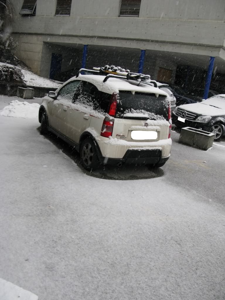 panda-sion.jpg