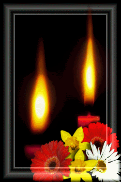 dns70.gif velas image castrobraga