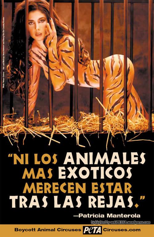 PeTA Poster