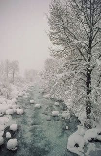 Winter - Winter
