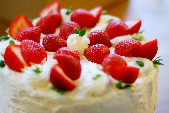 071020_strawberryCottonCake_01-1.jpg