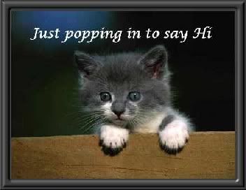 Cat_Justpoppingintosayhi.jpg Cat_Just popping in image by Maxie4u
