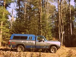 old vintage truck photography Pictures, Images and Photos