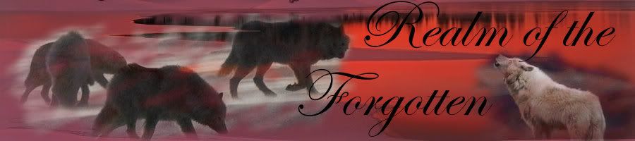 Realm of the Forgotten