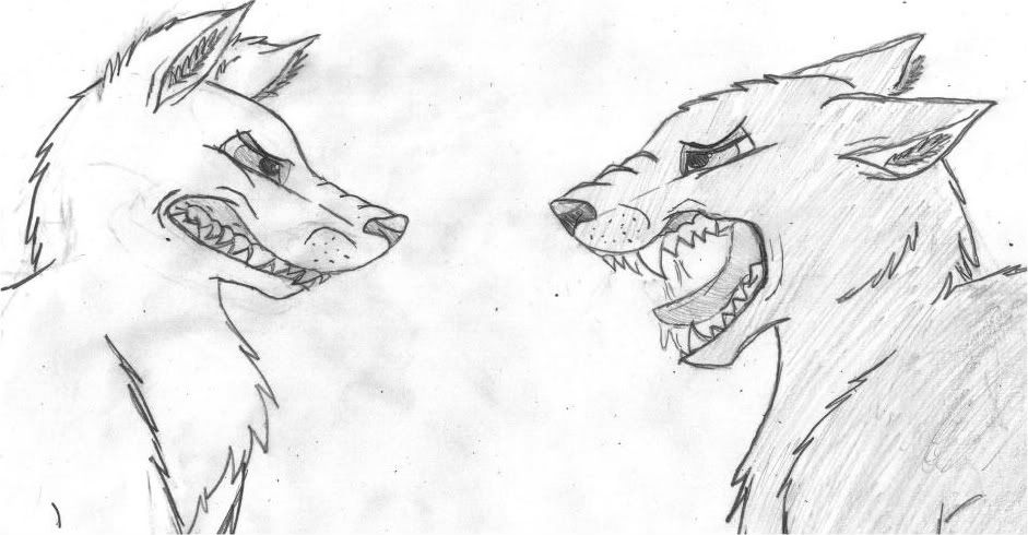 growling dog drawing