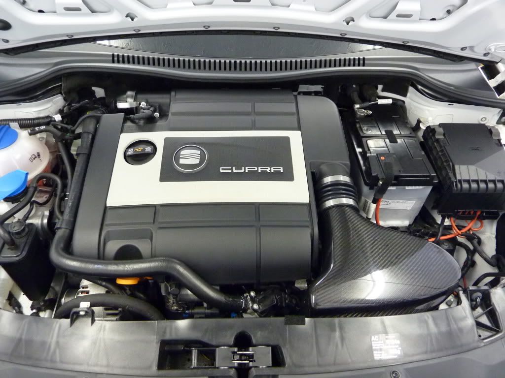 P1010167-1.jpg
