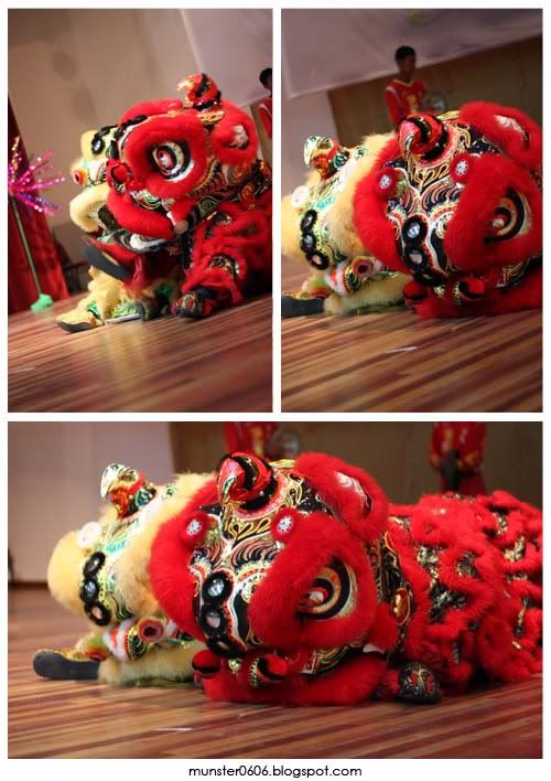 Lion Dance - Faces of Malaysia 3