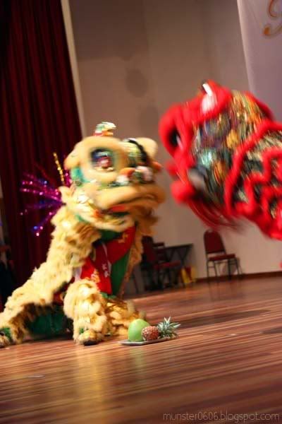 Lion Dance - Faces of Malaysia 4