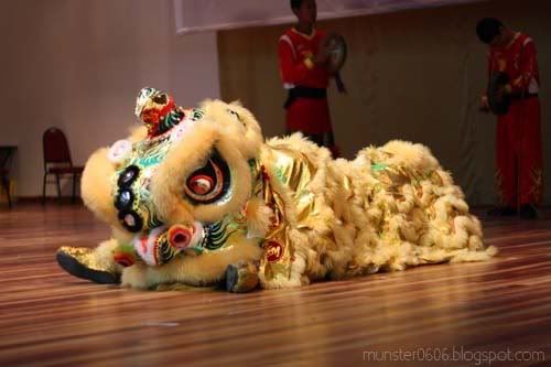 Lion Dance - Faces of Malaysia 1
