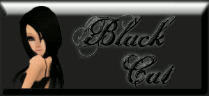 Check Out BlackCatNumber1's Products!