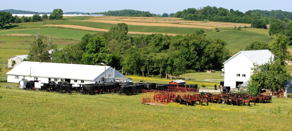 IMAGE: http://i304.photobucket.com/albums/nn188/Hunter440/funeral.jpg