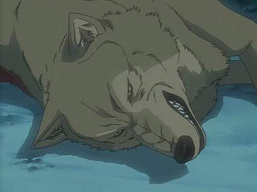 Hige Lying On The Floor In A Hurt Way