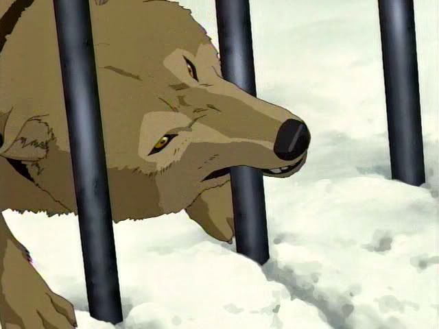 Hige Trying To Get Out Of The Cage